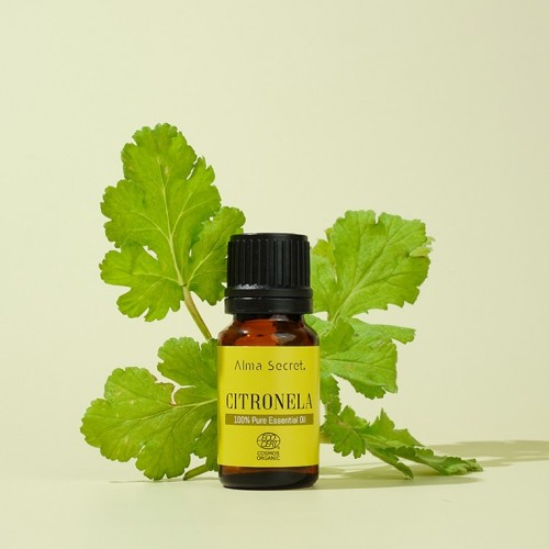 CITRONELLA oil