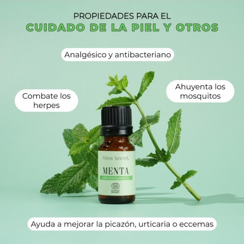 MINT oil