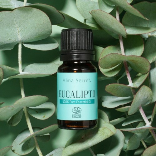 EUCALYPTUS oil