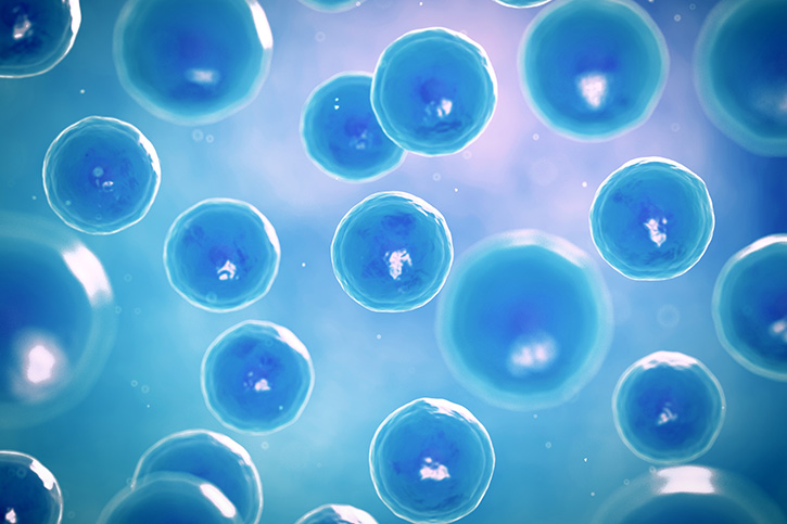 CERAMIDAS (Ceramides)